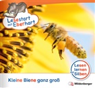 Nicole Brandau, Stefanie Drecktrah, Achim Schulte - Lesestart mit Eberhart: Kleine Biene ganz groß
