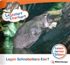 Nicole Brandau, Stefanie Drecktrah, Achim Schulte - Lesestart mit Eberhart: Legen Schnabeltiere Eier?