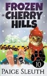 Paige Sleuth - Frozen in Cherry Hills