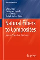 Abdellatif Imad, Abdellatif Imad et al, Yasir Nawab, Abdelghani Saouab, Khubab Shaker - Natural Fibers to Composites