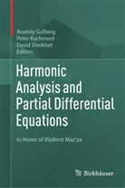 Anatoly Golberg, Peter Kuchment, David Shoikhet - Harmonic Analysis and Partial Differential Equations