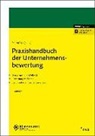 Volker H Peemöller, Volker H. Peemöller - Praxishandbuch der Unternehmensbewertung