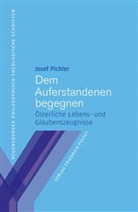 Josef Pichler, Josef (Dr.) Pichler - Dem Auferstandenen begegnen