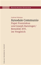 Gabriel Weiten, Gabriel (Dr.) Weiten, Institut Papst Benedikt XVI - Synodale Communio