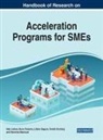 Inês Lisboa, Liliane Segura, Nuno Teixeira - Handbook of Research on Acceleration Programs for SMEs