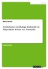 Mario Brause - Synthetische, nachhaltige Kraftstoffe im Flugverkehr. Kosten und Potenziale
