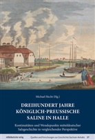 Michael Hecht - Dreihundert Jahre königlich-preußische Saline in Halle