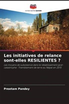 Preetam Pandey - Les initiatives de relance sont-elles RESILIENTES ?