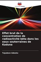 Tajudeen Adeeko - Effet brut de la concentration de radioactivité bêta dans les eaux souterraines de Kaduna