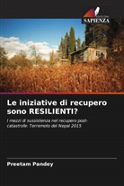 Preetam Pandey - Le iniziative di recupero sono RESILIENTI?