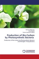 Heshmat Aldesuquy, Yehia Ellazeik, Fatma El-Zahraa El-Mahdy - Production of Bio-Carbon by Photosynthetic Bacteria