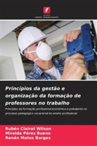 Rubén Clairat Wilson, Renán Matos Borges, Mirelda Pérez Bueno - Princípios da gestão e organização da formação de professores no trabalho