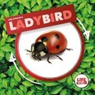 Kirsty Holmes - Ladybird