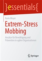 Karin Meyer - Extrem-Stress Mobbing