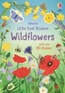 Caroline Young, Sarah Watkins, Watkins Sarah - Little First Stickers Wildflowers