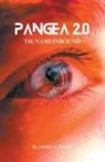 James Shaw - Pangea 2.0 Tsunami Inbound
