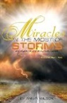 Ann Wilson, Ann R Wilson - Miracles in the Midst of Storms