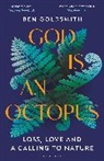 Ben Goldsmith - God Is An Octopus