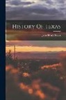 John Henry Brown - History Of Texas