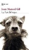 Juan Manuel Gil - La flor del rayo