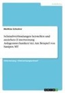 Matthias Schwörer - Schraubverbindungen herstellen und anziehen (Unterweisung Anlagenmechaniker/-in). Am Beispiel von Sanipex MT