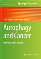 Norberg, Erik Norberg, Helin Norberg - Autophagy and Cancer