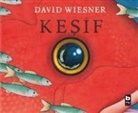 David Wiesner - Kesif