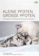 Yve Brüggemann, Nina Rimbach - Kleine Pfoten, Große Pfoten