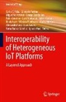 Alessandro Bassi, Valérie Castay, George Exarchakos, Giancarlo Fortino, Flavio Fuart, Frans Gevers... - Interoperability of Heterogeneous IoT Platforms
