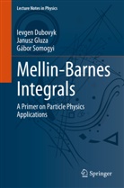 Ievgen Dubovyk, Janusz Gluza, Gábor Somogyi - Mellin-Barnes Integrals