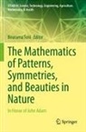Bourama Toni - The Mathematics of Patterns, Symmetries, and Beauties in Nature