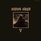 Budos Band, The Budos Band - V, 1 Audio-CD (Audio book)