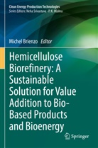 Michel Brienzo - Hemicellulose Biorefinery: A Sustainable Solution for Value Addition to Bio-Based Products and Bioenergy