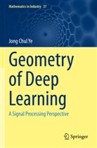 Jong Chul Ye - Geometry of Deep Learning