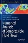 Eduard Feireisl, Mária Luká¿ová-Medvi¿ová, Mária Lukácová-Medvidová, Mizerov, Hana Mizerová, Bangwei She - Numerical Analysis of Compressible Fluid Flows
