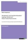 Michel Felgenhauer - Morphismen und Impulswirksamkeit Lagrange Kohärenter Fluids-within-Fluid-Systeme