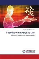 Angeline Mary Selvakumar - Chemistry In Everyday Life