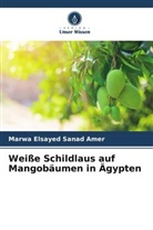 Marwa Elsayed Sanad Amer - Weiße Schildlaus auf Mangobäumen in Ägypten