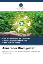 Elton Lima Santos, Luis Henrique P de Carvalho, Luis Henrique P. de Carvalho, Sô Salgueiro Machado, Sônia Salgueiro Machado - Anaerober Biodigester