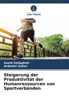 Saeid Sedaghati, Ardeshir Zafari - Steigerung der Produktivität der Humanressourcen von Sportverbänden