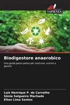 Elton Lima Santos, Luis Henrique P. de Carvalho, Sônia Salgueiro Machado - Biodigestore anaerobico