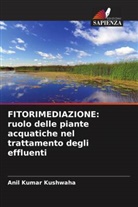 Anil Kumar Kushwaha - FITORIMEDIAZIONE: ruolo delle piante acquatiche nel trattamento degli effluenti