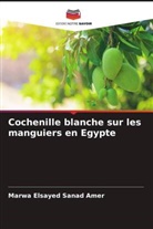Marwa Elsayed Sanad Amer - Cochenille blanche sur les manguiers en Egypte