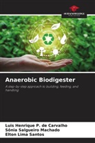 Elton Lima Santos, Luis Henrique P. de Carvalho, Sônia Salgueiro Machado - Anaerobic Biodigester