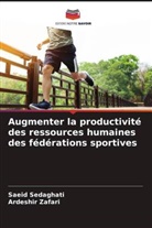 Saeid Sedaghati, Ardeshir Zafari - Augmenter la productivité des ressources humaines des fédérations sportives