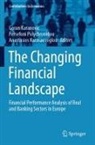 Goran Karanovic, Anastasios Karasavvoglou, Persefoni Polychronidou - The Changing Financial Landscape