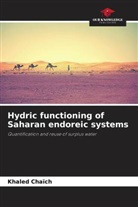 Khaled Chaïch - Hydric functioning of Saharan endoreic systems
