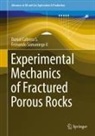 Daniel Cabrera S, Daniel Cabrera S., Fernando Samaniego V, Fernando Samaniego V. - Experimental Mechanics of Fractured Porous Rocks