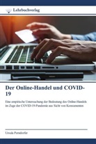 Ursula Perndorfer - Der Online-Handel und COVID-19