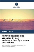 Khaled Chaïch - Funktionsweise des Wassers in den endoreischen Systemen der Sahara